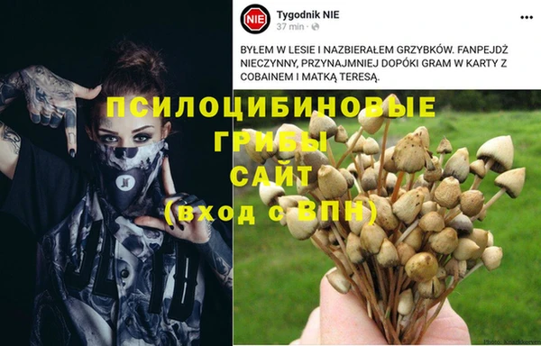 прущие грибы Бугульма