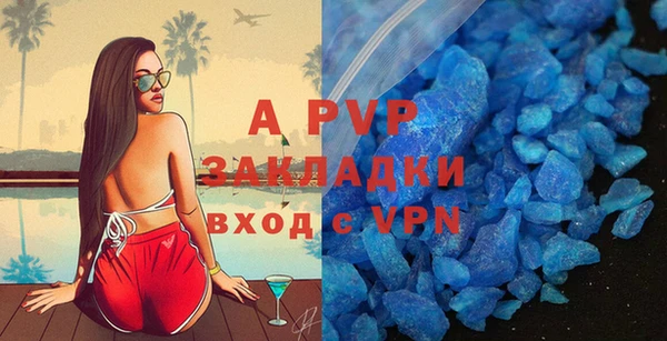 гашик Богданович