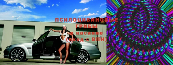 прущие грибы Бугульма