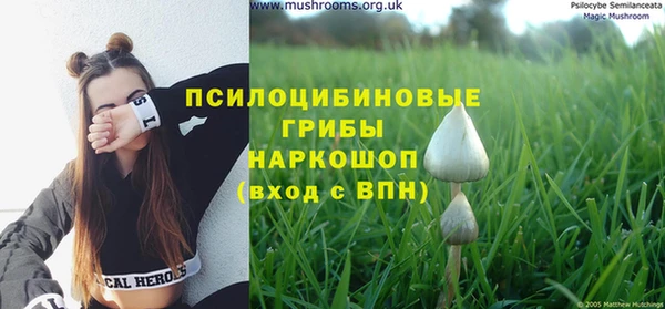 прущие грибы Бугульма