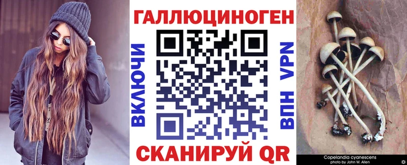 Галлюциногенные грибы Cubensis  Кореновск 